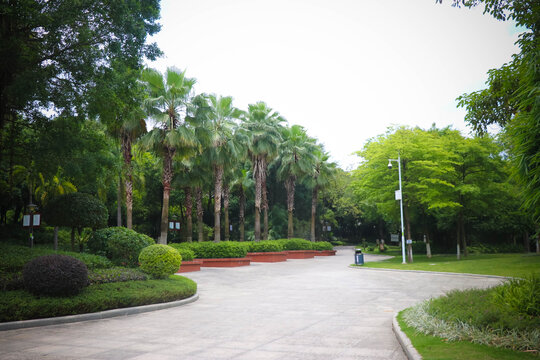 公园一角