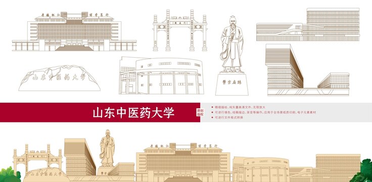 山东中医药大学