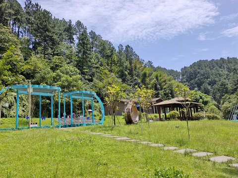 威远县石板河草地