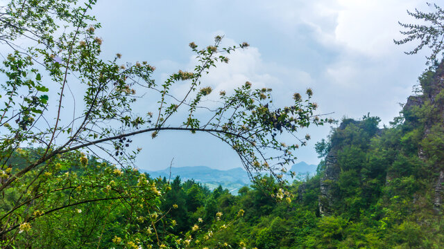 层峦耸翠