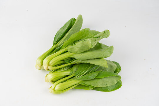 小青菜油菜