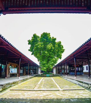 考棚庭院