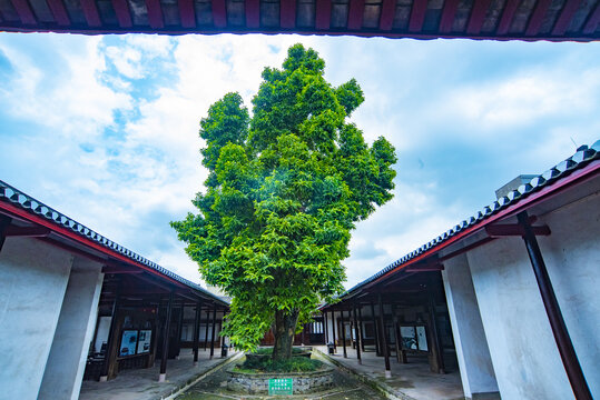 考棚庭院