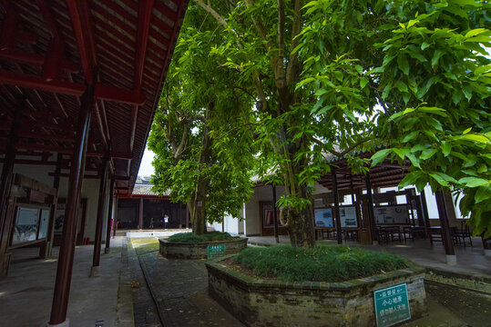 考棚庭院