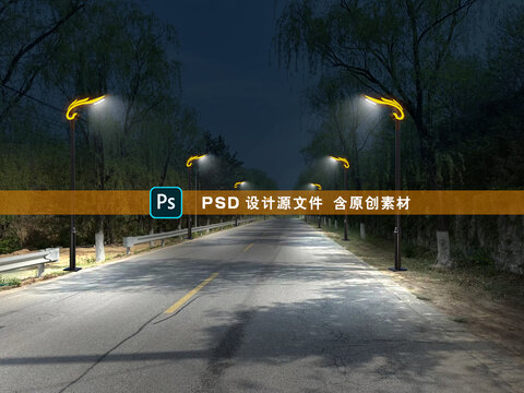 道路凤凰庭院灯照明夜景