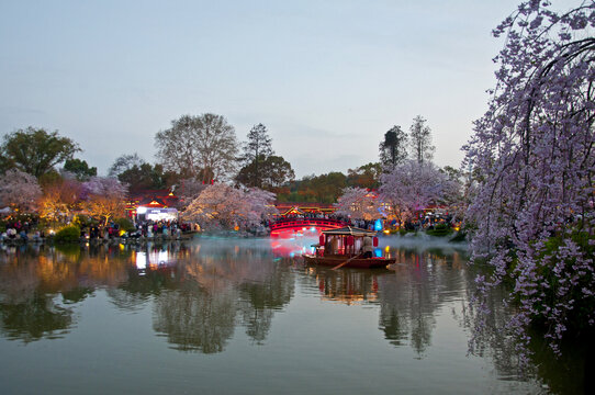 武汉樱花园夜景