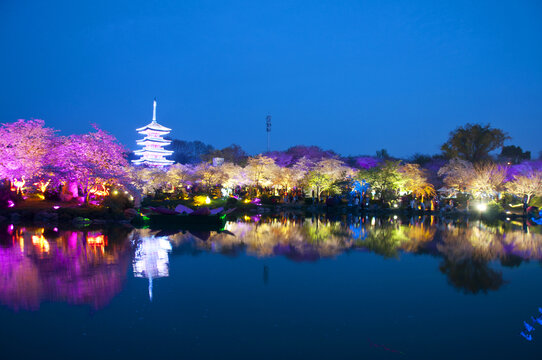 武汉樱花园夜景