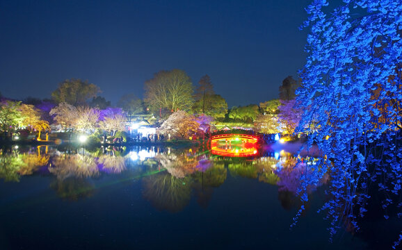 武汉樱花园夜景