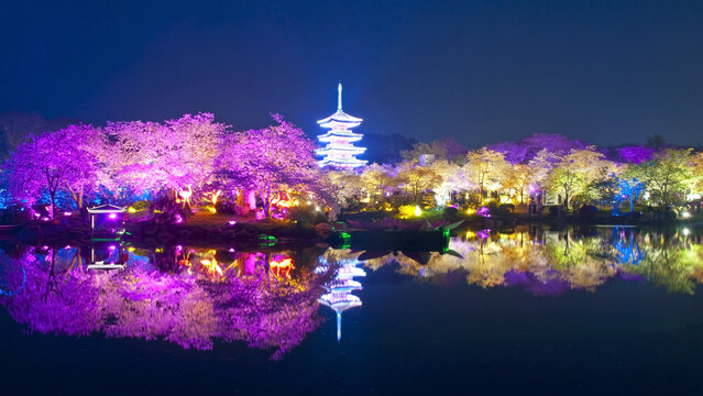 武汉樱花园夜景