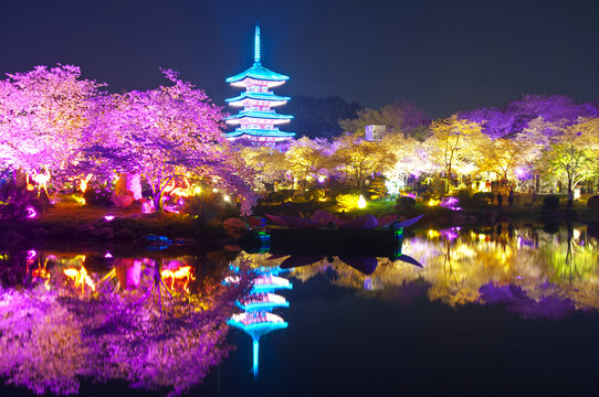 武汉樱花园夜景
