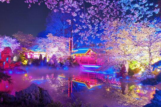 武汉樱花园夜景