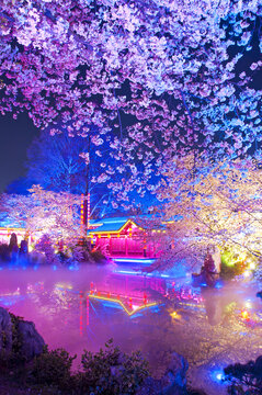 武汉樱花园夜景