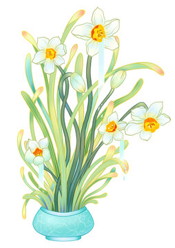 水仙花