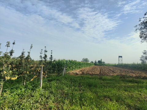 田野土地风景