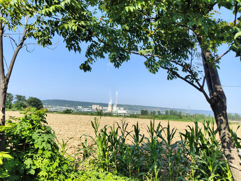 农村村道田野