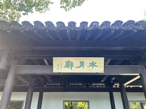 曲苑风荷