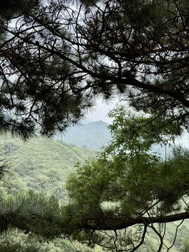 圣泉山风景