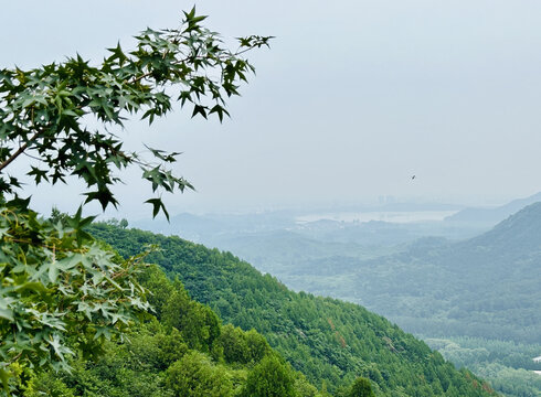 圣泉山风景