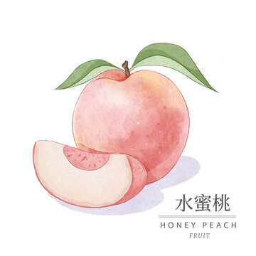 手绘水彩水蜜桃包装插画