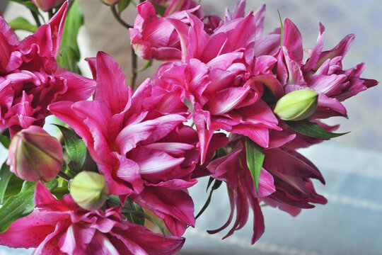 百合花