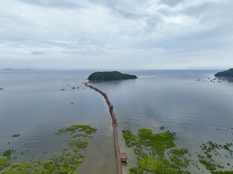 海陵岛红树林湿地