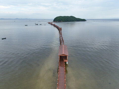 海陵岛红树林湿地
