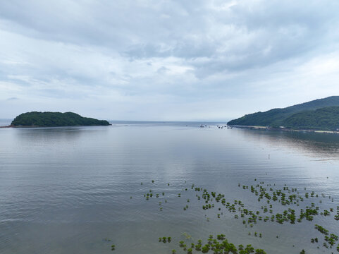 海陵岛红树林湿地