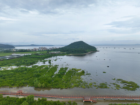 海陵岛红树林湿地