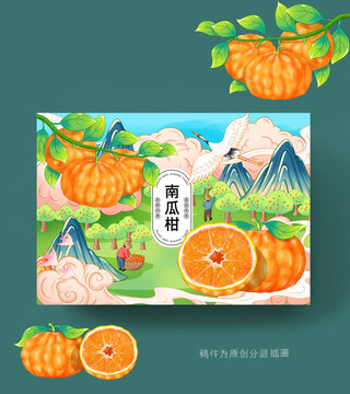 南瓜柑插画包装