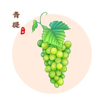 青提插画
