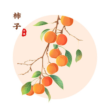 柿子插画