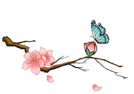 梅花