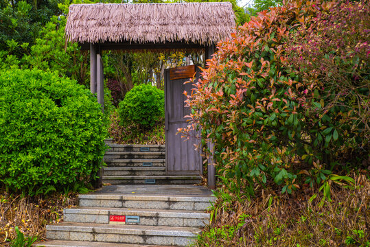 酒店庭院