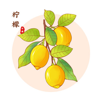 柠檬插画