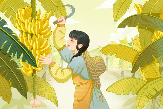 采摘香蕉包装插画