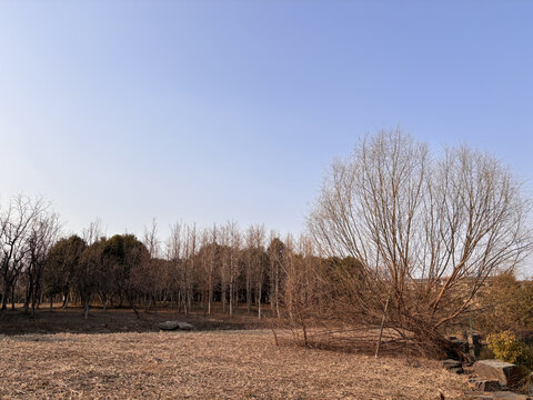 公园园林