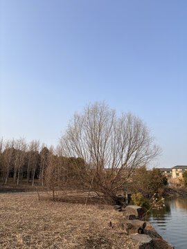 公园