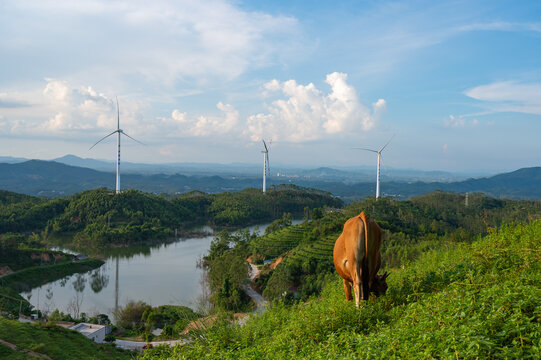 风车山山顶风景