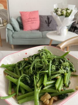 龙须菜