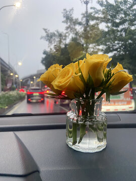 花色玫瑰