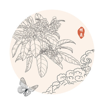 桂花线稿