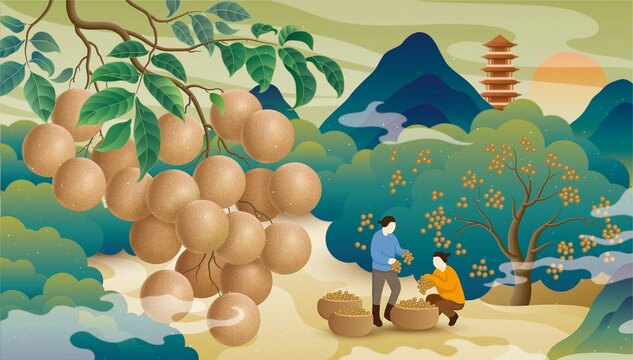 平南石硖龙眼