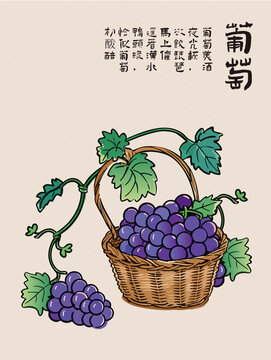 手绘水果葡萄包装包装标签