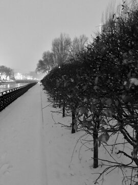 雪景