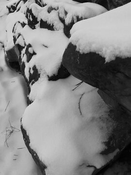 雪景