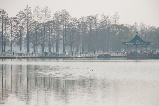 武汉东湖旅游生态风光
