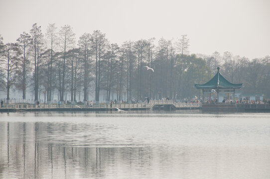 武汉东湖旅游生态风光