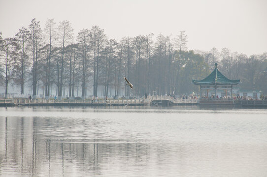 武汉东湖旅游生态风光
