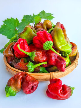 辣椒静物