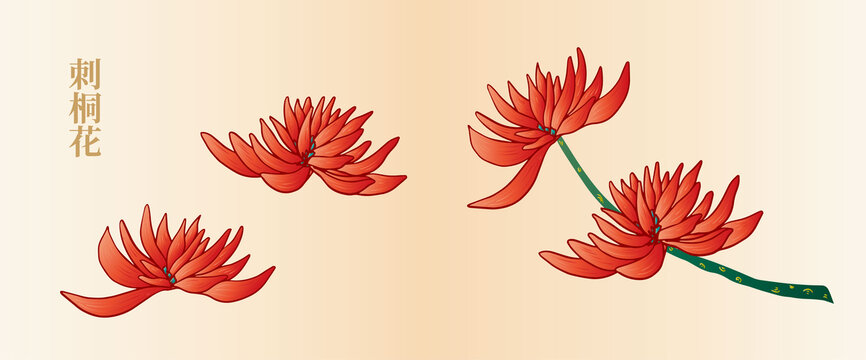 刺桐
